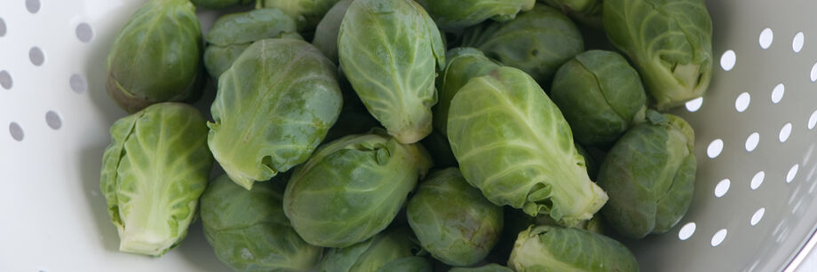 Brussels sprouts displayed in a white colander.